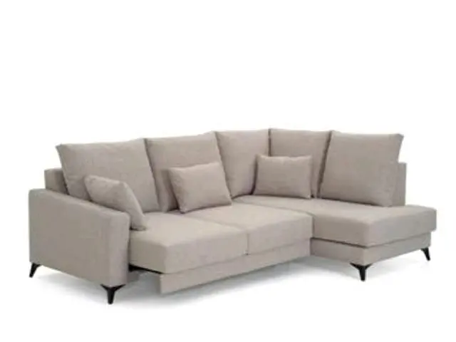 Imagen SOFA CHEIS RINCON VANITY 295X195 4
